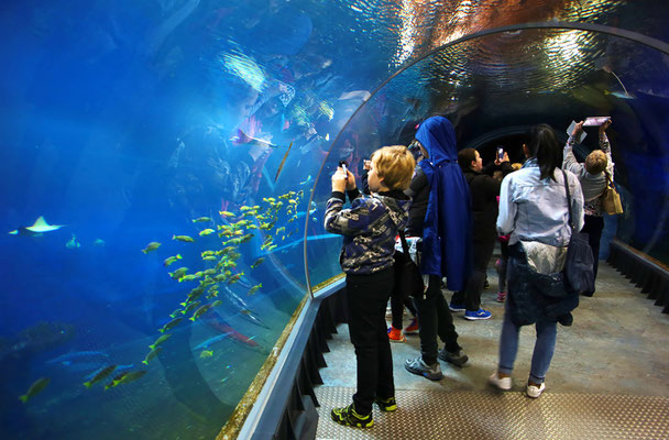 Afrykarium Wroclaw - Copyright Afrykarium Wroclaw - Visit Wroclaw - European Best Destinations