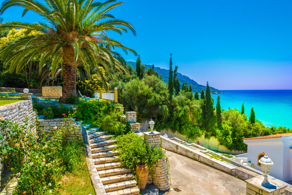 Corfu - European Best Destinations - Agios Georgios palmtree - Copyright Balate Dorin