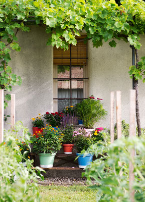 Les-Sources-de-Caudalie