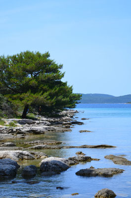 Luka beach Ugljan - Copyright European Best Destinations