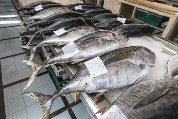 Fish market in Funchal, Madeira - Copyright Curioso