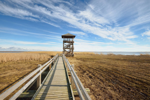 Wildlife observation tower in a swamp area next to lake in Liepaja, Latvia Copyright Aleksey Stemmer