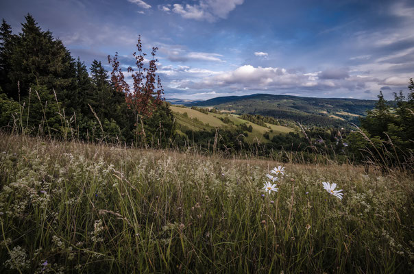 Sustainable tourism in Europe - The Eagle Mountains and Foothills Region - Copyright R.Barton