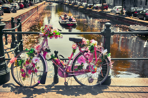 Bike near a bridge in the Hague by ariadna de raadt