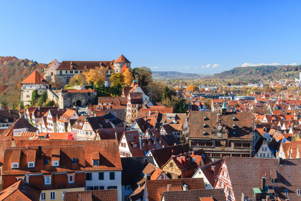 Tubingen castle copyright Jens Goepfert