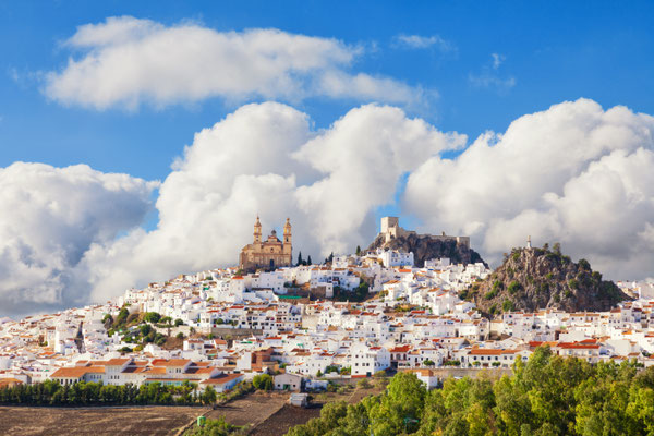 The village of Olvera near Cadiz, Spain by Jose Ignacio Soto