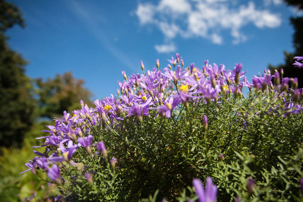 Botanical Garden Wroclaw - Copyright Visit Wroclaw - Instagram User - European Best Destinations