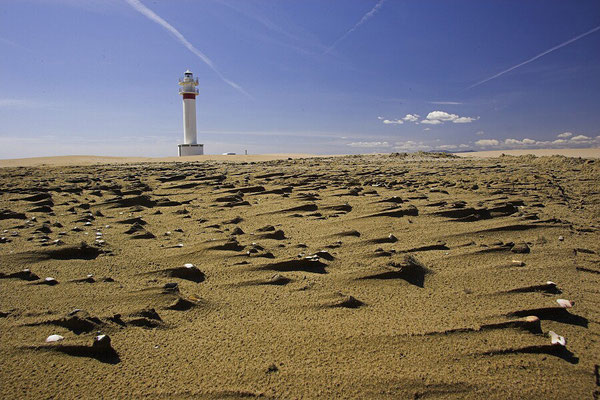 The Elbro Delta National Park - European Destinations of Excellence - European Best Destinations 