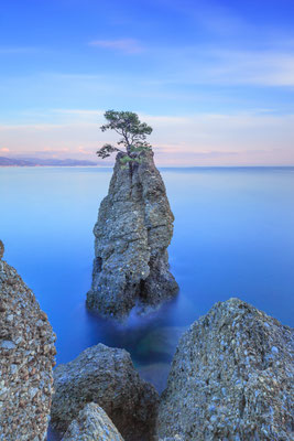 Portofino - European Best Destinations - Lonely pine tree rock in Portofino Copyright StevanZZ