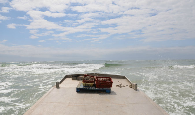 Oyster-farm-Arcachon