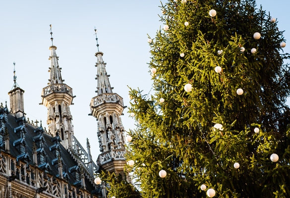 Leuven Christmas Market - Copyright visitleuven.be