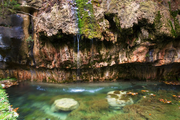 Mullerthal - European Best Destinations - Travertine source © ORT MPSL - Thomas Bichler