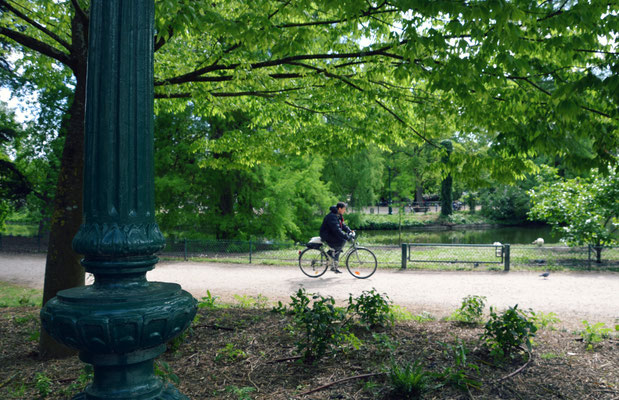 Bordeaux-public-garden