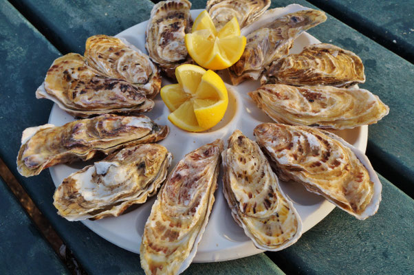 Plate of freshly shucked oysters in Brittany, France - Copyright EQRoy