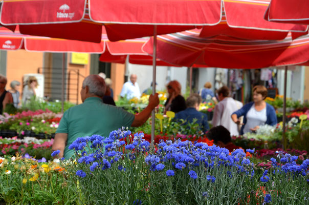 Dolac market of Zabreg, Croatia  - Copyright European Best Destinations