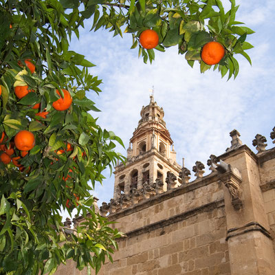 Cordoba  European Best destinations - Copyright Karolina Grabara