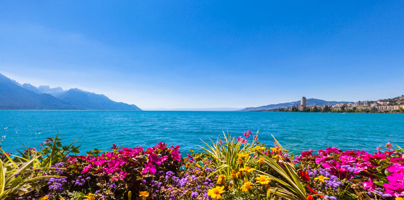 Panorama view of the Alps, Geneva lake and Montreux cityscape with colorful flowers in foreground on a sunny summer day, Canton of Vaud, Switzerland Copyright Peter Stein