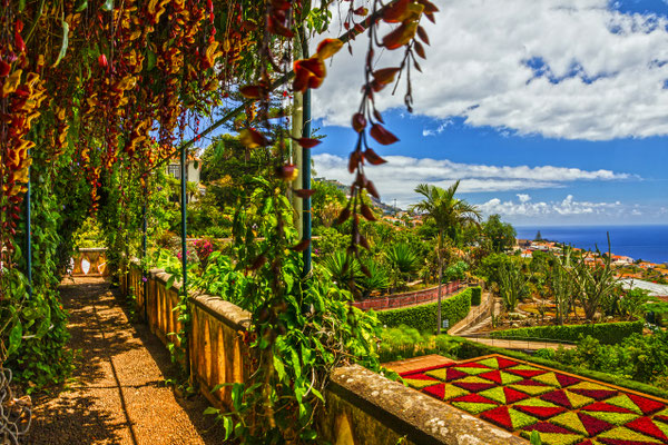 Madeira Botanical Garden, Funchal, Portugal - Copyright Valentina Photo