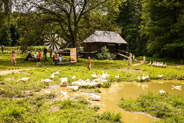 Sibiu European Best Destinations - ASTRA museum