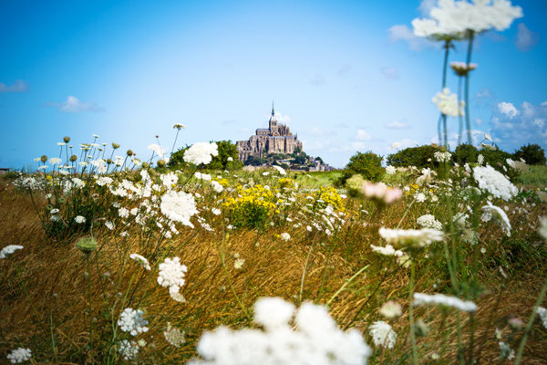 Mont Saint Michel between flowers, France - Copyright ueuaphoto