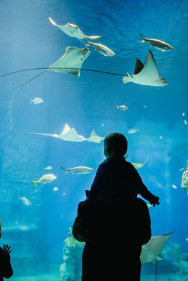 Afrykarium Wroclaw - Copyright Afrykarium Wroclaw - Visit Wroclaw - European Best Destinations