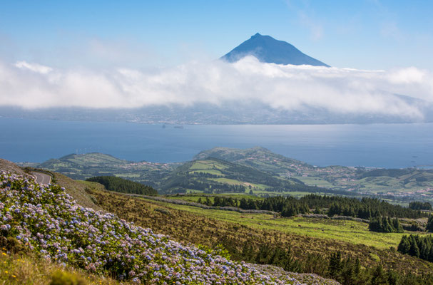 Sustainable tourism in Faial - Azores - Copyright Lexiv