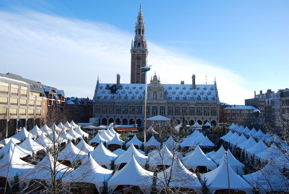 Leuven Christmas Market - Copyright leuvensekerstmarkt