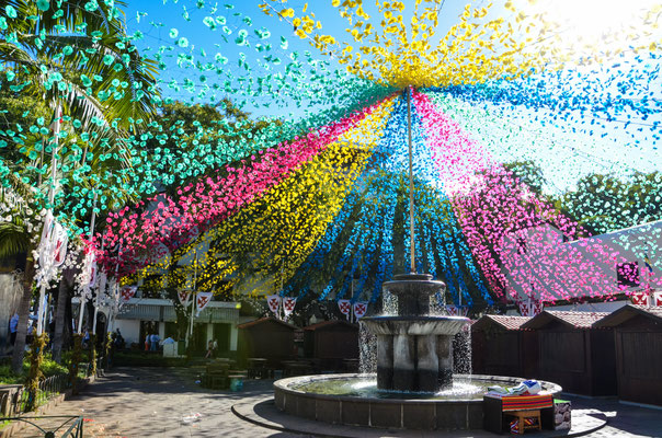 Funchal old town, Madeira Islands, Portugal Ⓒ Matthieu Cadiou / European Best Destinations
