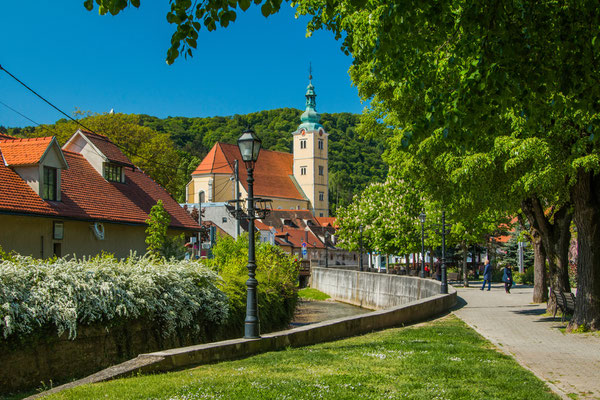 Catholic church and river in the center of Samobor, town in northern Croatia copyright Iascic