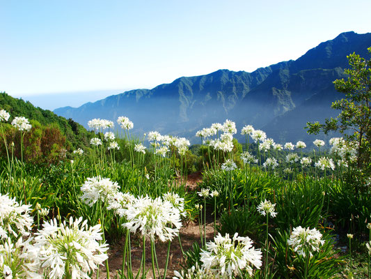Viewpoint Boca de Encumeada at Madeira Portugal - Copyright stockpix4u