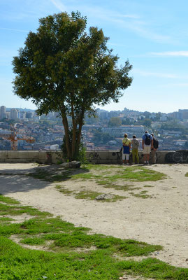 Miradouro da Vitoria Porto © European Best Destinations