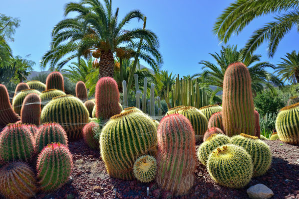 Gran Canaria - European Best Destinations - Gran Canaria - Copyright  Oleg Znamenskiy