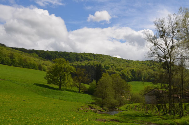 Mullerthal - European Best Destinations - A small river valley near Grundhof © ORT MPSL