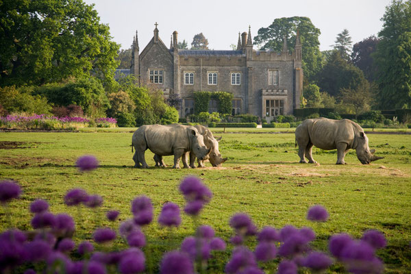 Oxford European Best Destinations - Copyright VisitEngland/Visitoxfordshire/Andrew Lawson