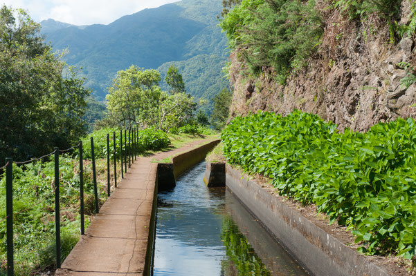 Levada, Madeira, Portugal - Copyright by Thomas Dekiere