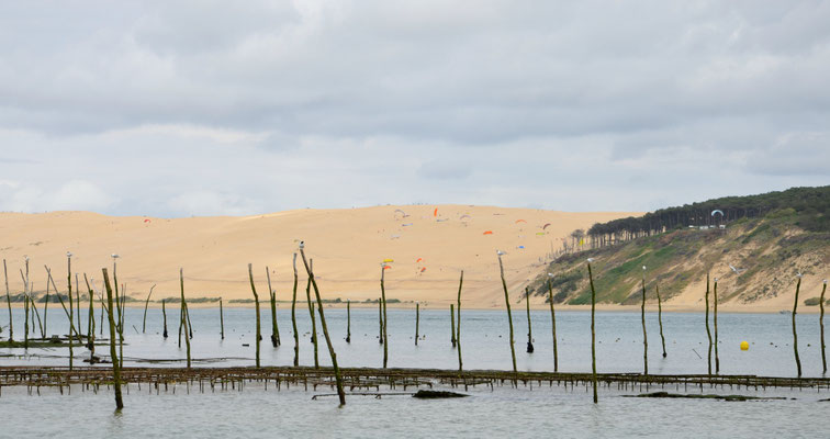 Oyster-farm-Arcachon