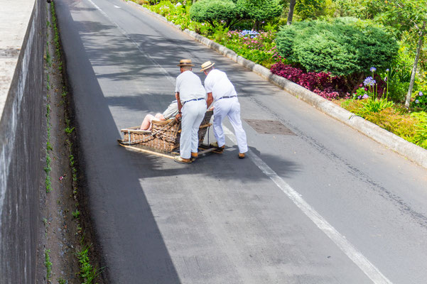Traditional downhill sledge trip, Funchal, Madeira, Portugal - Copyright DaLiu