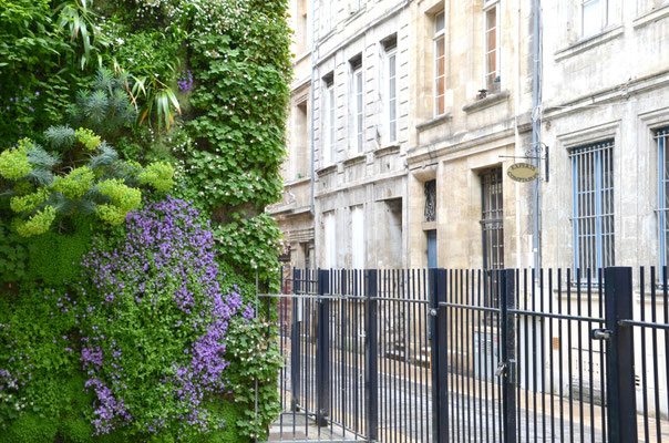 Mur-végétal-square-Vinet-Bordeaux