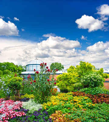 landscape with colorful flowers and blue sky. germany, stuttgart, public park Copyright LiliGraphie