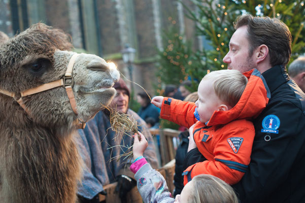 Dordrecht Christmas Market Copyright Maartje Brockbernd Fotografie