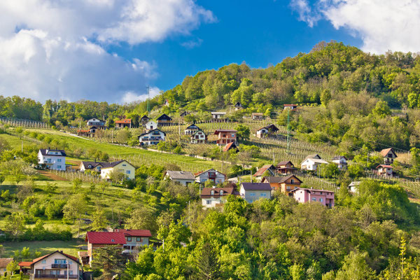 Zagorje hills vineyards and cottages, Krapina, Croatia - Copyright xbrchx