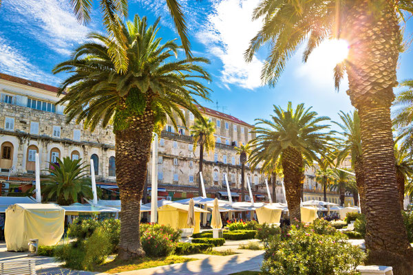 Split main waterfront walkway palms and architecture, Dalmatia, Croatia by xbrchx
