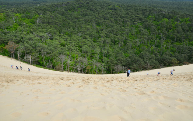 Dune-du-Pilat