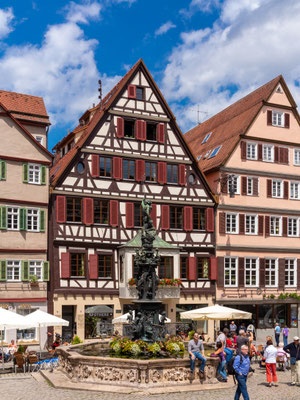 Tubingen old town Copyright Robert Mullan / Shutterstock