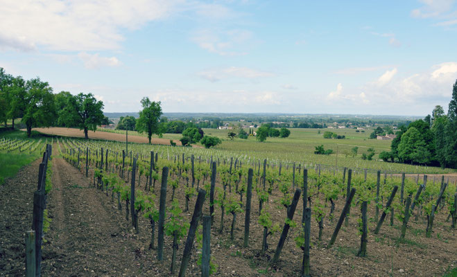Chateau-Coutet-Saint-Emilion