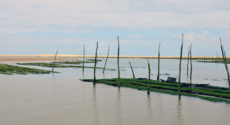 Oyster-farm-Arcachon
