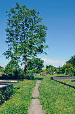 Bordeaux-Botanical-Garden