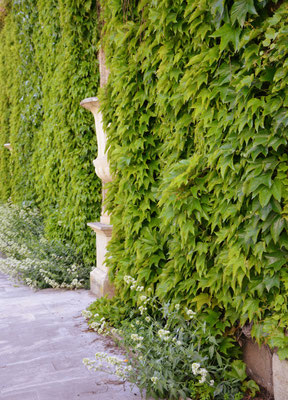 Bordeaux-public-garden
