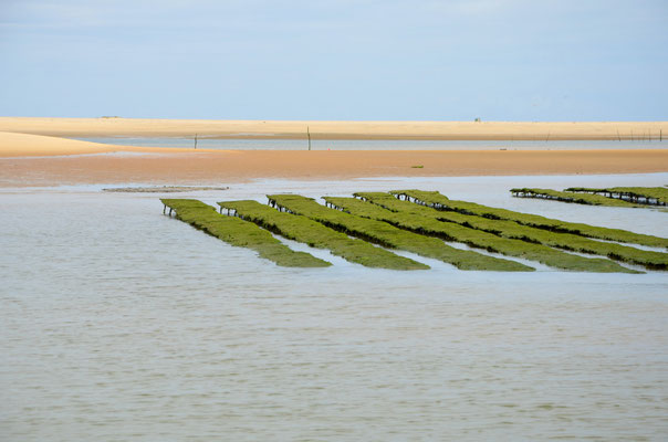 Oyster-farm-Arcachon