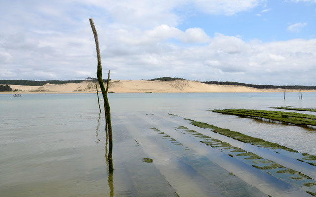 Oyster-farm-Arcachon